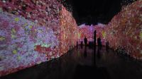 030 – Tokio, teamLab