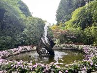 Butchart Garden, Vancouver Island