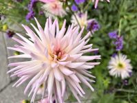 Butchart Garden, Vancouver Island