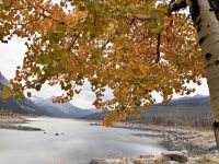 Medicine Lake, Jasper NP