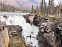 Jasper NP, Athabasca Falls