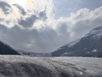 Athabasca Gletscher