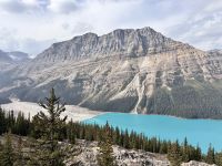 Peyto Lake und Gletscher