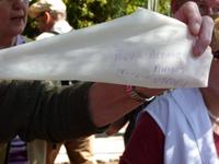 Haut eines Agaven-Blattes