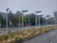 2025_Schiff_MS-P_Hannover - Birkenwäldchen