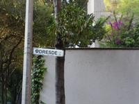 sogar eine Dresdner Straße gibt es hier