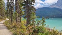 Wanderweg am Emerald Lake im Yoho-Nationalpark