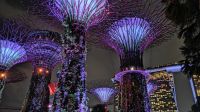 Rhapsodie Show, Gardens by the bay Singapur 