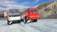 Ice Explorer auf dem Athabasca-Gletscher am Columbia Eisfeld