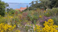 Kings Park, Perth 