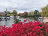 2025_Schiff_MS-P_Brandenburg - Havelbucht