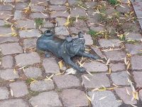 2025_Schiff_MS-P_Brandenburg - Lorios Waldmöps