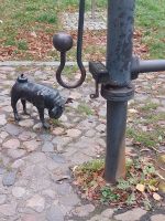 2025_Schiff_MS-P_Brandenburg - Lorios Waldmöps