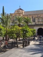 Mezquita Orangenplatz