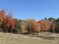 6. Tag – Ottawa bis Montréal – Tour durch den Omega-Wildpark – Laubfärbung