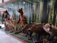 Tierwelt im Plitvicer Nationalpark