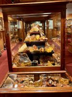 Kauri- Museum: Sammlung von neuseeländischem Bernstein 