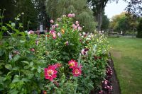 2. Tag - Halifax Public Garden (4)