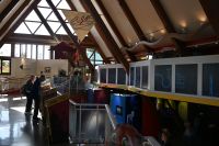 3. Tag - Bell Museum (2)