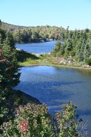 3. Tag - Nova Scotia (4)