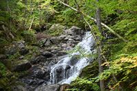 4. Tag - Cabot Trail (12)