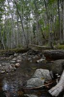 4. Tag - Cabot Trail (14)