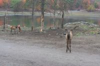 11. Tag - Omega Park (1)