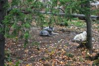 11. Tag - Omega Park (8)