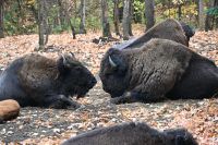 11. Tag - Omega Park (17)