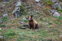 11. Tag - Omega Park (20)