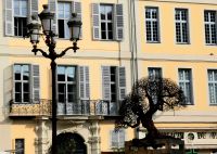 Olivenskulptur am Place du Palais de Justice in Nizza 