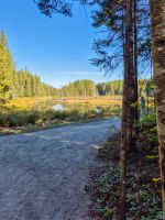 Algonquin Park Holzfäller Weg - Kanada 