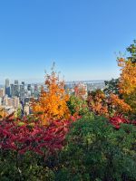 Blick vom Mount Royal in Montreal - Kanada 