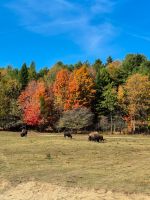Omega Tierpark - Kanada 