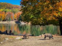 Omega Tierpark - Kanada 