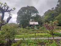 021-Glenveagh Garden