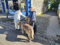 054-Bunratty Folk Parc
