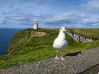 056-Cliffs of Moher