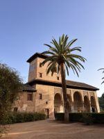 Granada Alhambra 8.jpeg