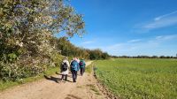 Wanderung von Wustrow nach Ahrenshoop