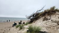 Weststrand - Darßer Ort