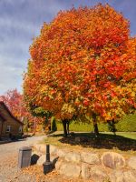 Zuckerhütte Chez Dany Quebec - Kanada 