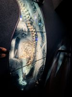 Marine Mammal Interpretation Centre in Tadoussac - Kanada 