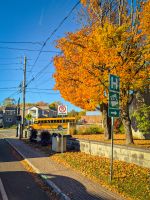 Indian Summer in Kanada 
