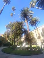 Garten in der Basilika di St. Marco, Rom