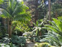 Jurassic World oder Jardines de Concepción?