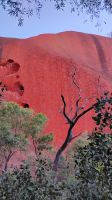 Uluru 