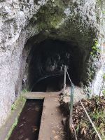 Tag 7 Blick auf Tunneleingang an der Levada do Rei 