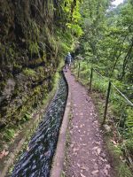 Tag 7 Blick auf den Wanderweg entlang der Levada do Rei 