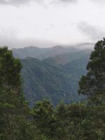 Tag 7 Blick auf die Hochebene Sao Jorge von der Levada do Rei 